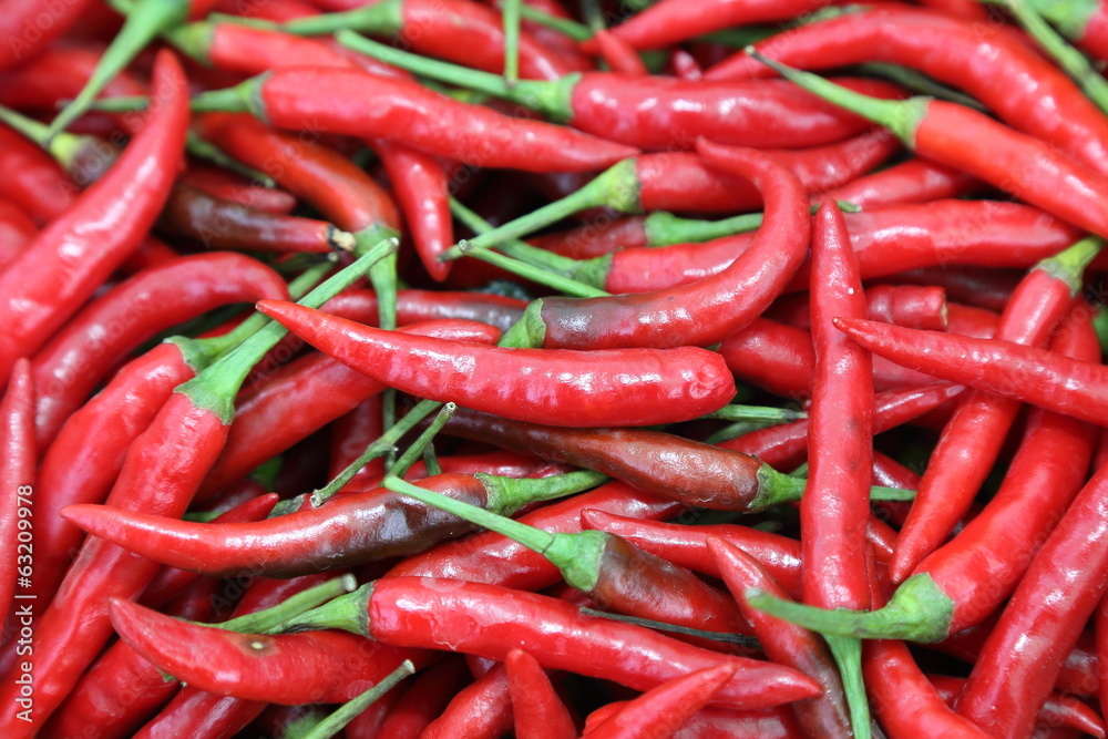 background of thai red chili