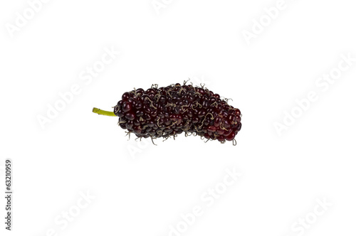 mulberry on the white background