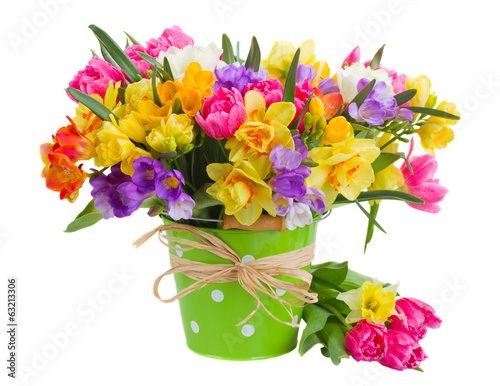 freesia and daffodil  flowers in blue pot