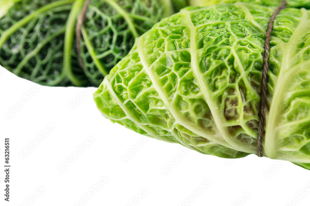 Fototapeta premium Savoy cabbage roll preparation clouse up, isolated