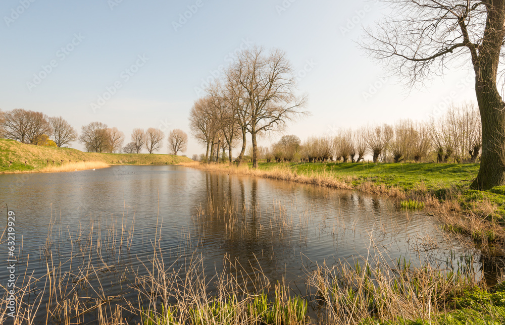 Fototapeta premium Colorful landscape in springtime