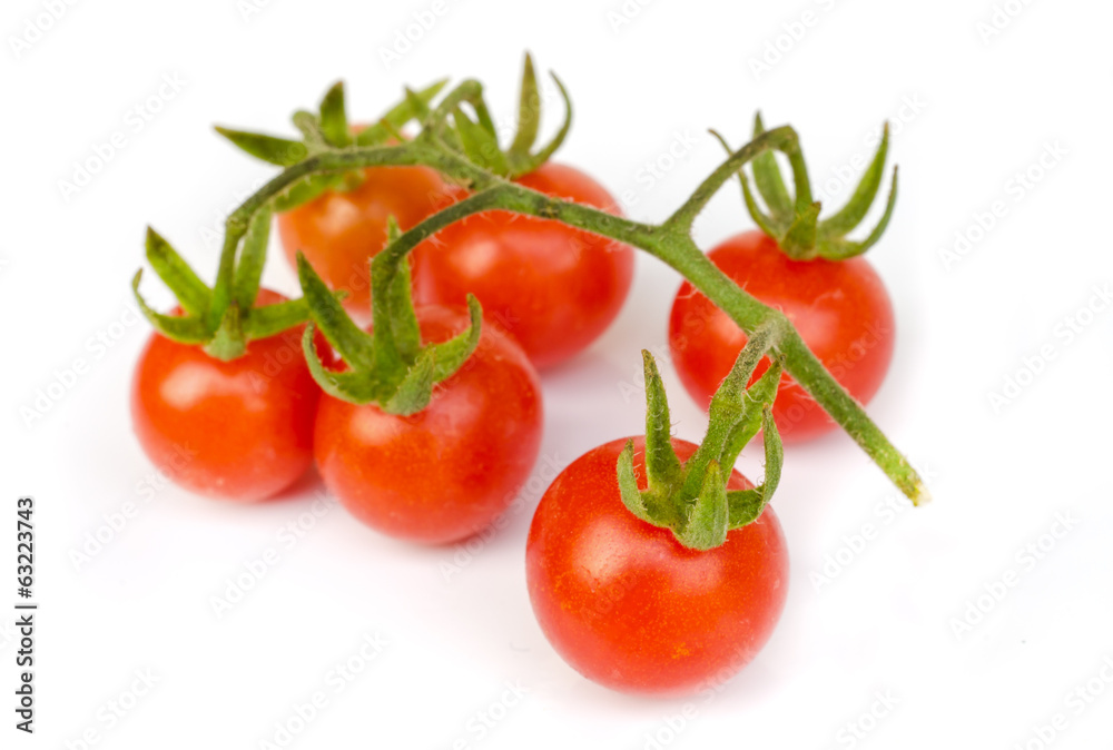 tomato vegetable . tomato vegetable .