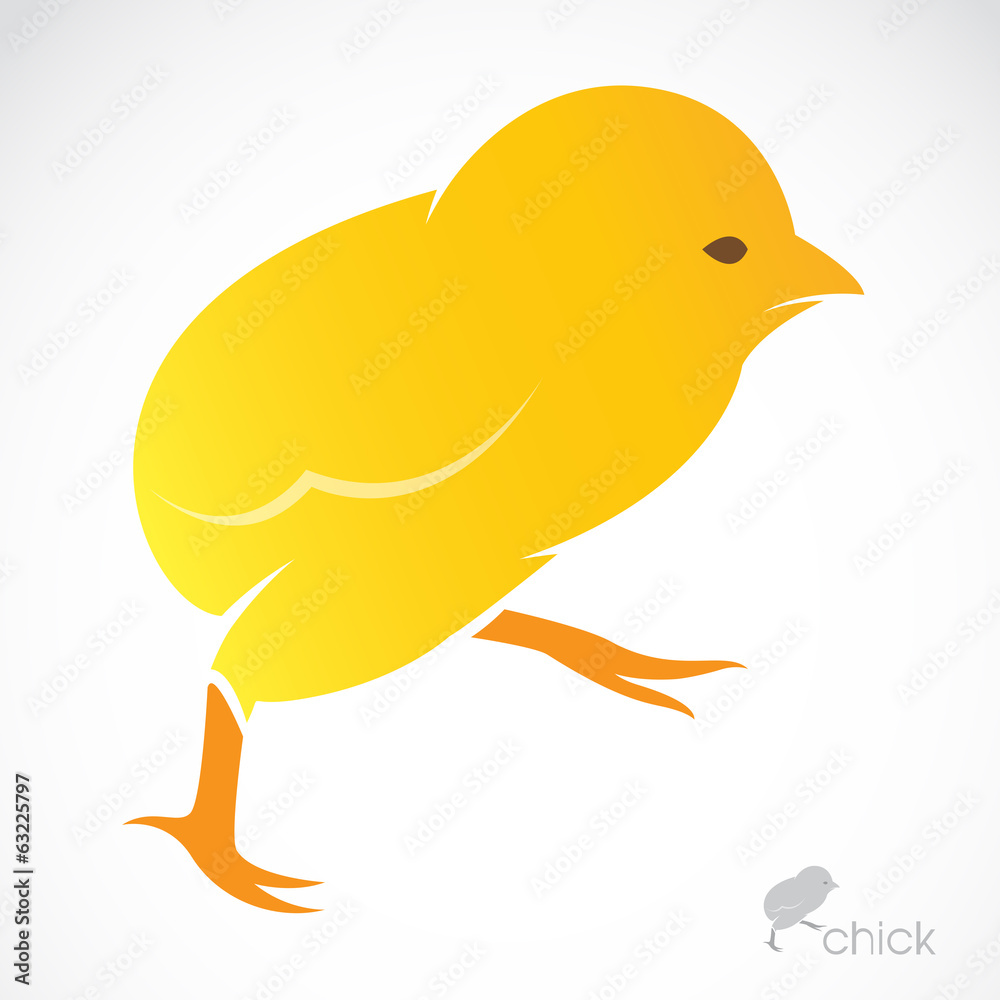Vector image of an chick