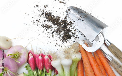 légumes frais et outils de jardin