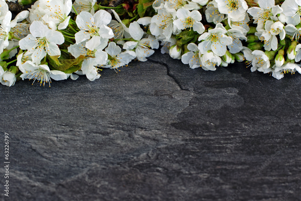 Kirschblüten auf einer Schieferplatte Kirschblüten auf einer Schieferplatte