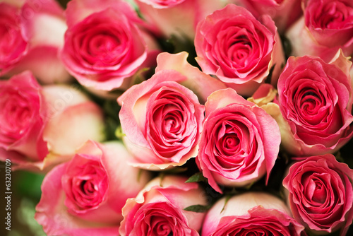 Nice roses in celebration concept © Elnur