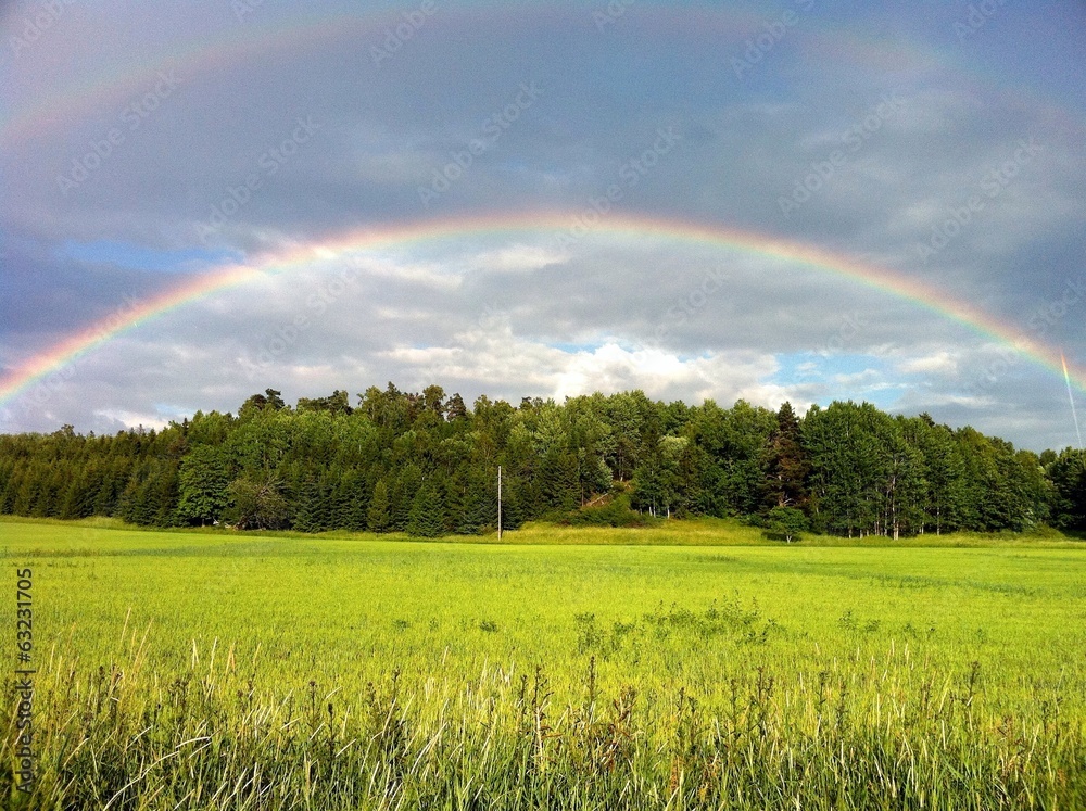 Naklejka premium rainbow