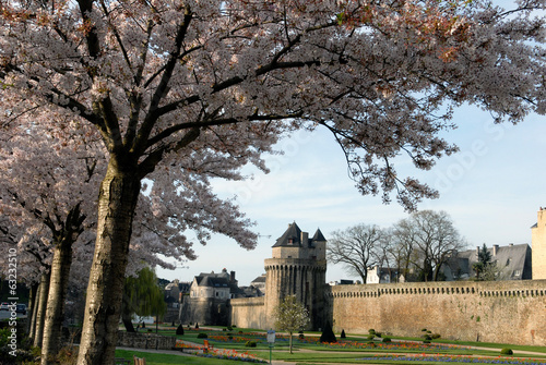 Εκτύπωση καμβά Les remparts de Vannes et ses cerisiers en fleurs