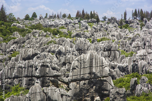 Stone forest national park in Yunnan province