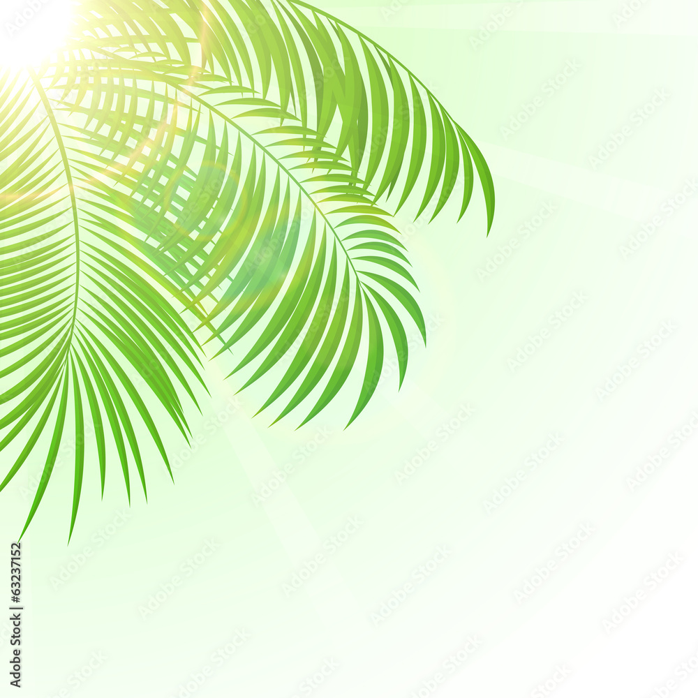 Palm on Sun background