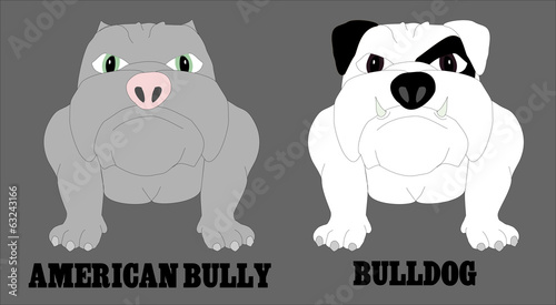 BULLS