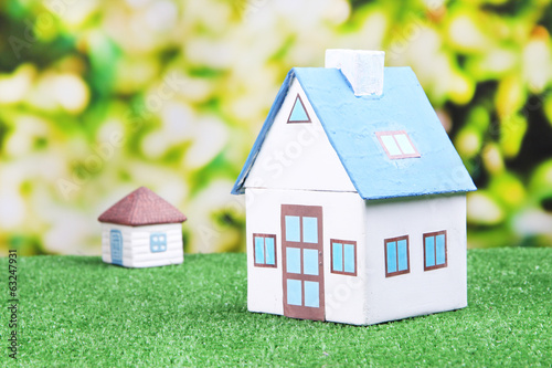 Little house on green grass, on bright background