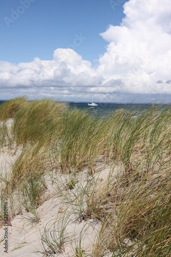 Dänemark Strand