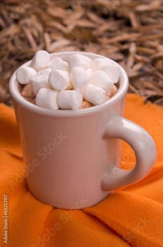 marshmallows on top a cup of hot cocoa