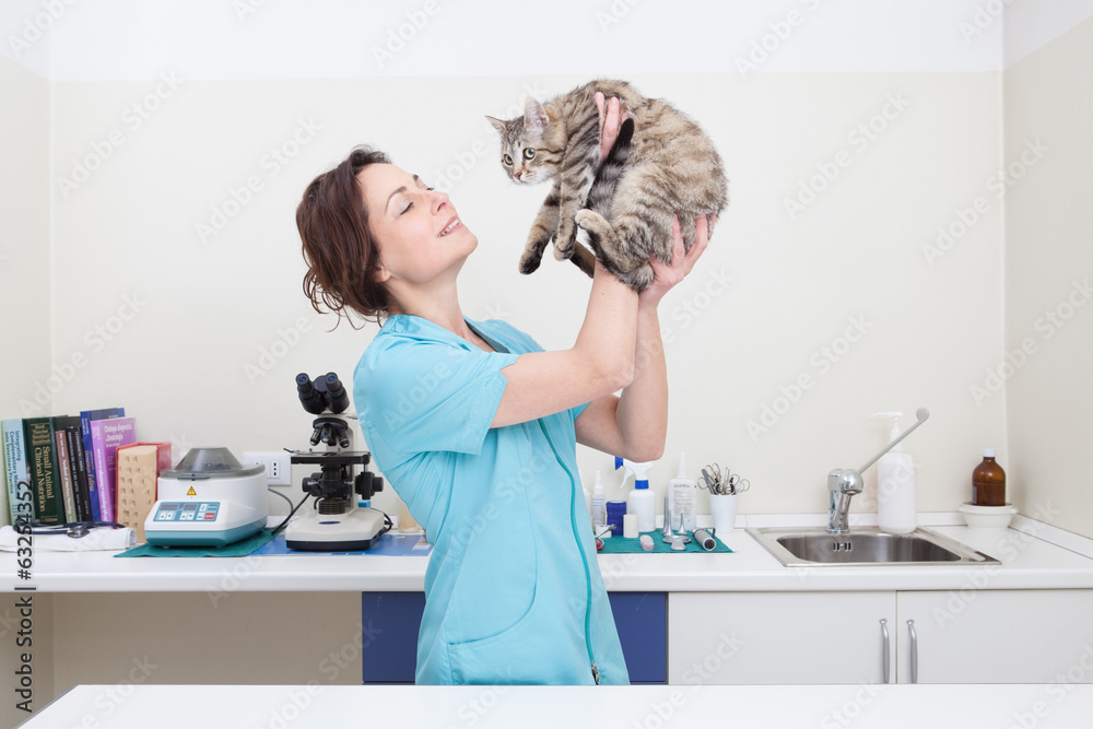 Young female veterinary caring of a cute cat Young female veterinary caring of a cute cat