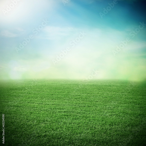 Grass field in sunlight