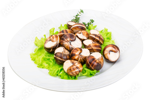 Escargot