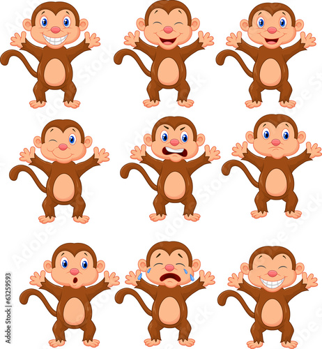 Cute monkeys in various expression