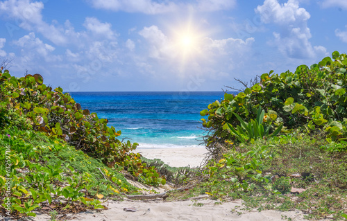 exotic beach surrounded by nature