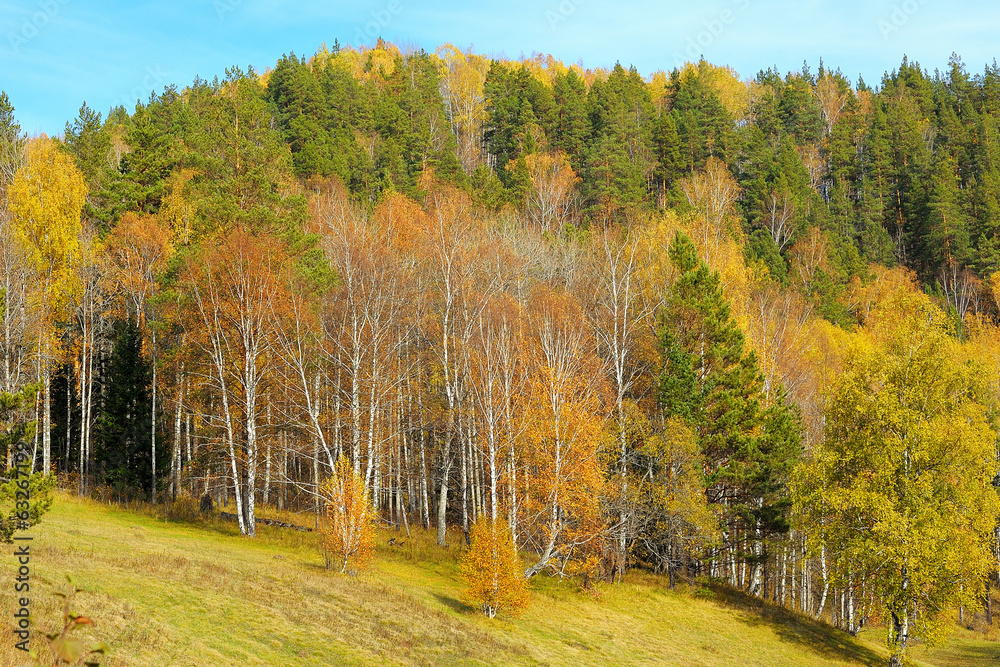 Autumn forest in Ural mountains
