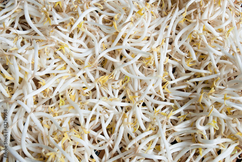 Bean sprouts as a background