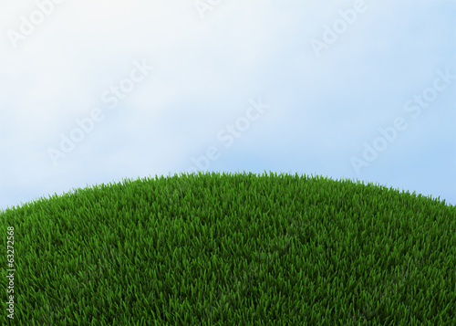 Green hill of grass