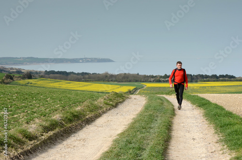 promenade de printemps