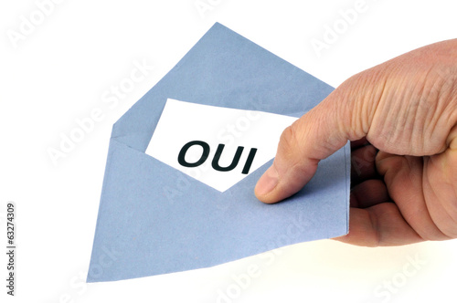 Oui au référendum photo