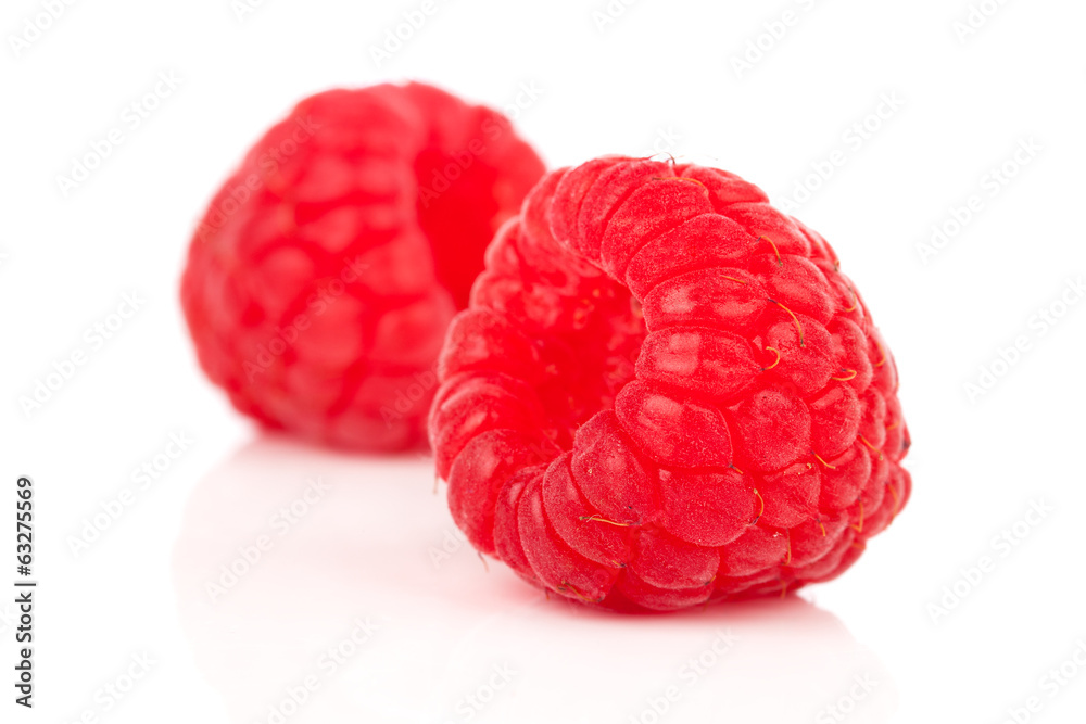 red raspberry on white background red raspberry on white background