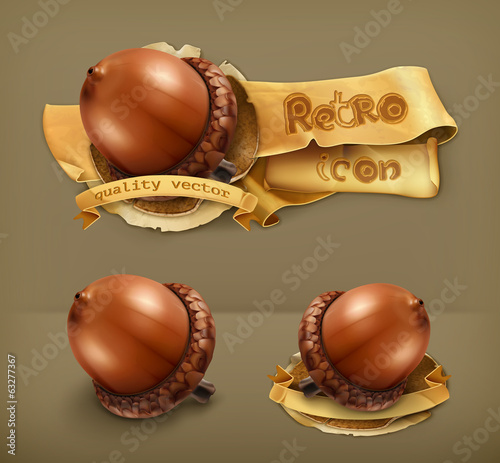 Acorn, retro vector icon