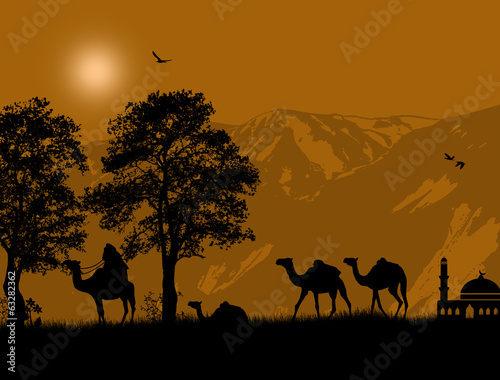 Bedouin riding camel