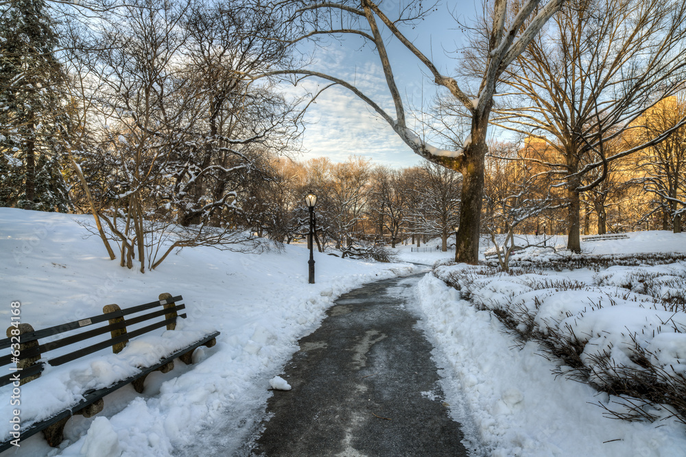 Naklejka premium Central Park after snow storm