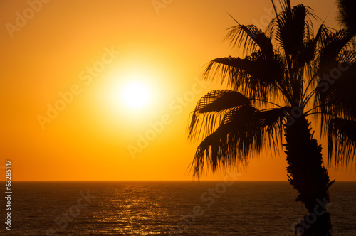 Fototapeta Naklejka Na Ścianę i Meble -  Evening sea, palm trees, sunset