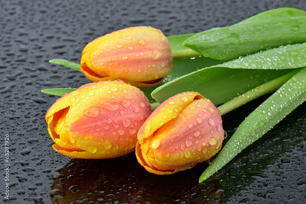 Naklejka premium Mokre tulipany