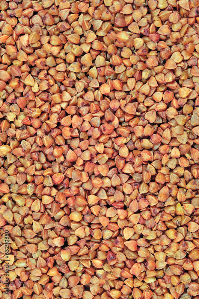 Fototapeta premium Raw buckwheat groats background, dry cereal seeds, large vertica