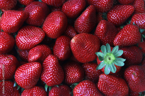 Fresas- Strawberries photo