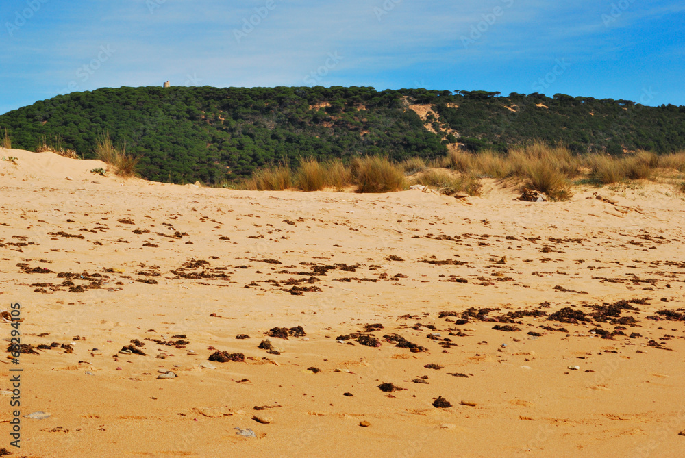 Caños de Meca, an Andalusian beach