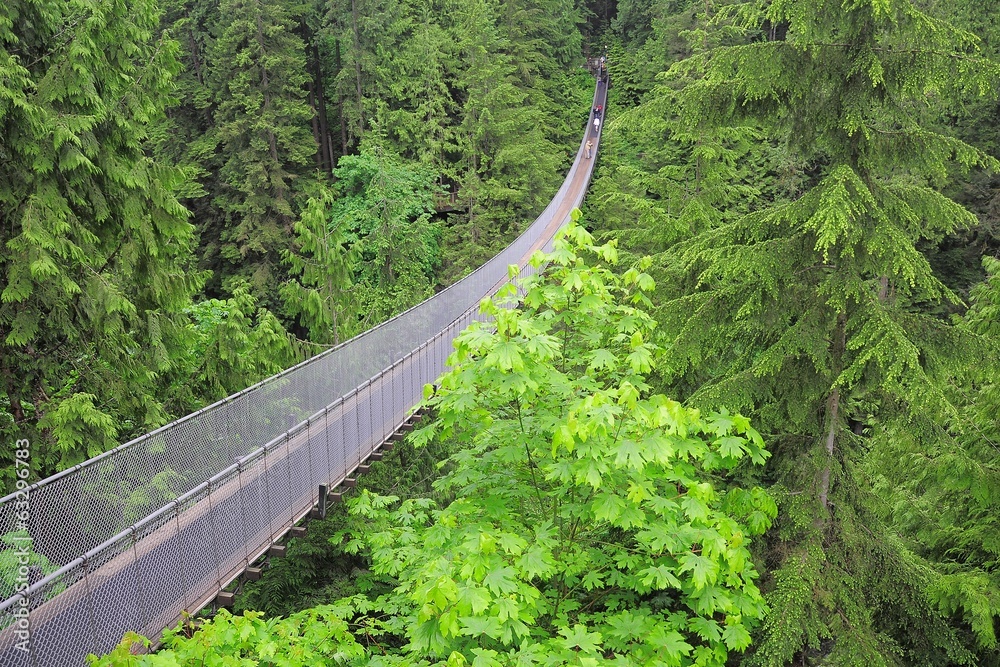 Obraz premium Capilano suspension bridge. North Vancouver.