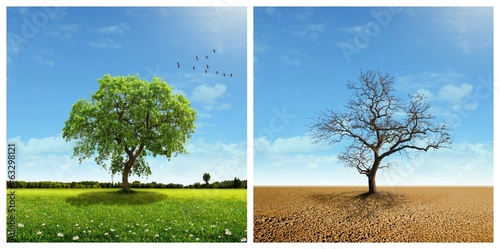 Canvastavla Global warming