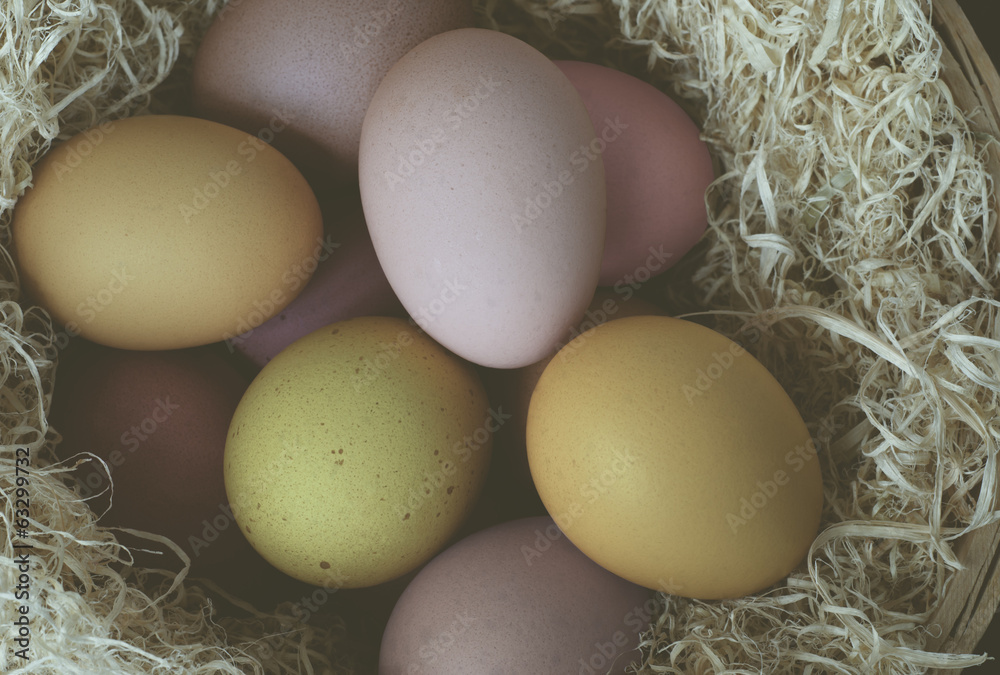 Painted Easter Eggs from Above - Cross Processed Painted Easter Eggs from Above - Cross Processed