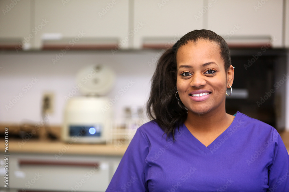 African American Female Medical Professional African American Female Medical Professional