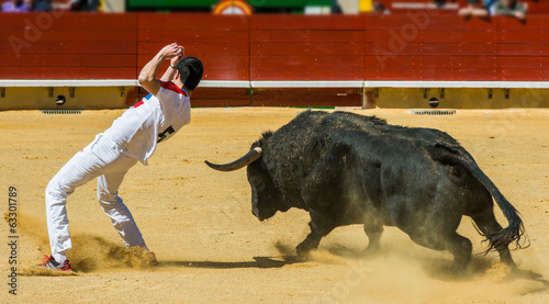 Concurso De Recortes A Toros De Lidia