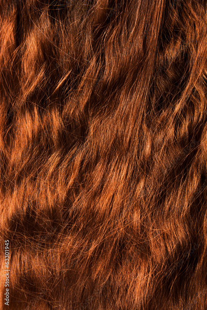Obraz premium Włosy
