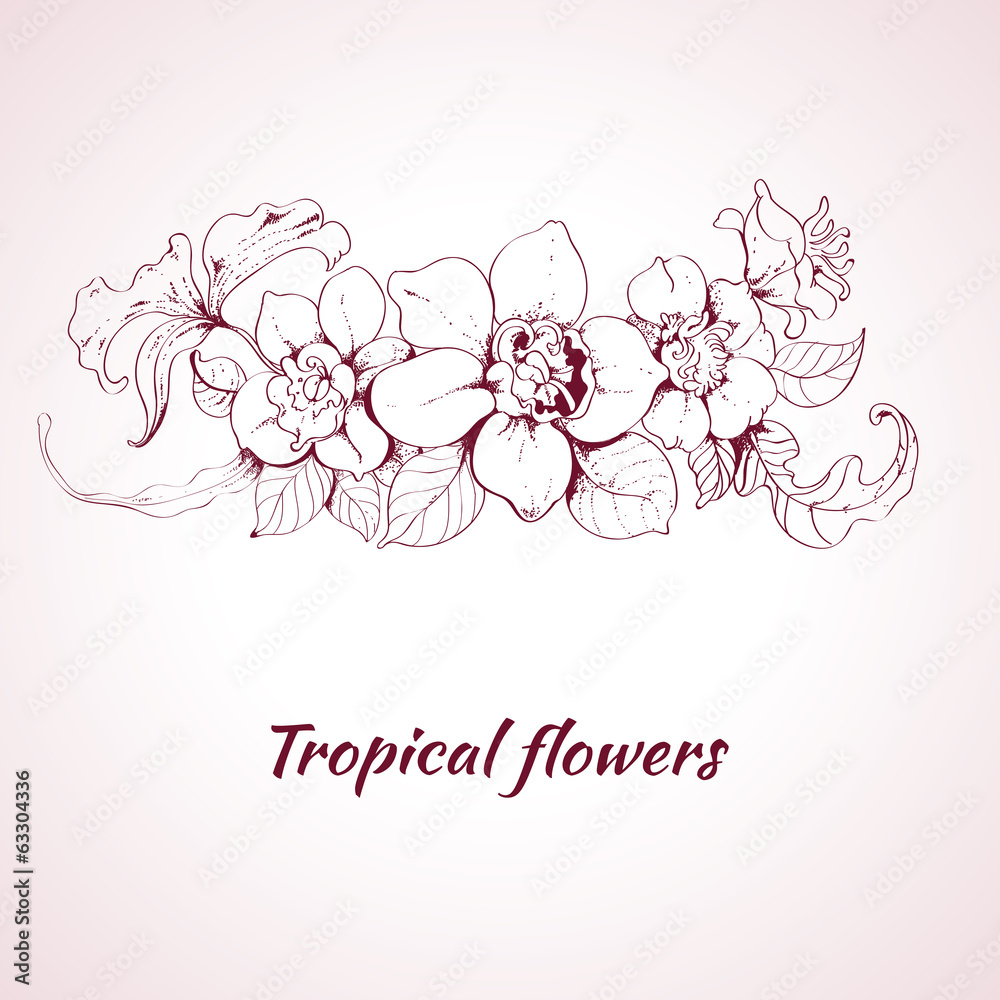 Tropical flower sketch