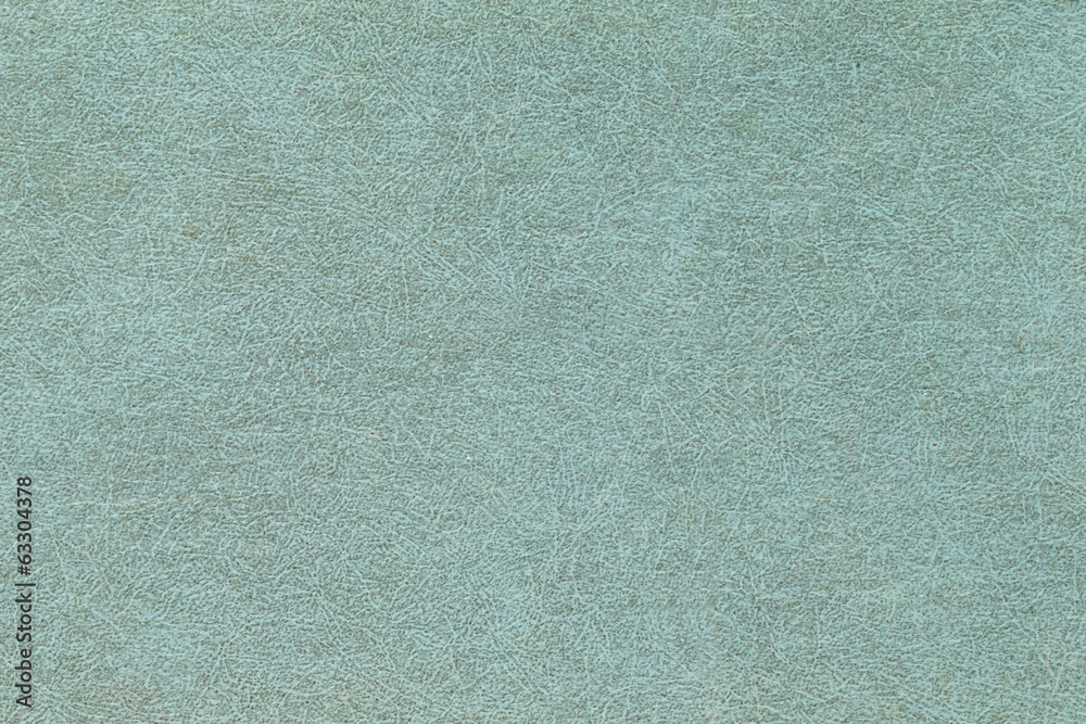 Fototapeta premium paper texture