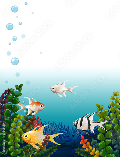 School of fishes under the sea