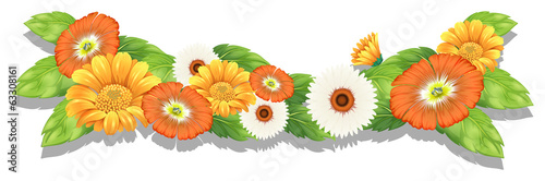 Fresh flowers