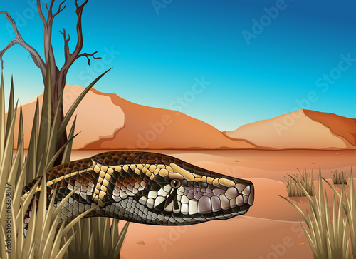 A desert with a reptile