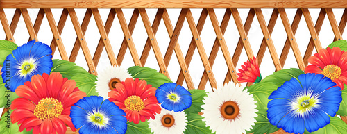 Colourfl flowers near the wooden fence photo