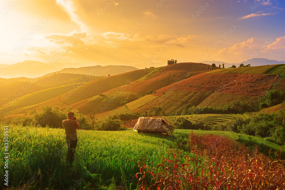 Obraz premium A man taking photo with digital camera in rice field